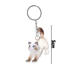 Load image into Gallery viewer, New Cat Hair Storage Keychain Bag Pendant Transparent Pet Fur Keepsake Capsule Souvenir Collection Gift Decoration Accessories
