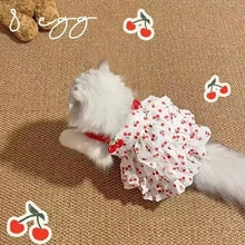 Load image into Gallery viewer, Pet Dress for Dogs &amp; Cats - Layered Cake Style Printed Clothes, Small Medium Breed Apparel, Adorable Summer Outfit
