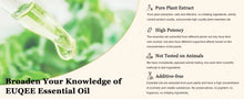 Load image into Gallery viewer, Large Bottle Aromatherapy Essential Oil
