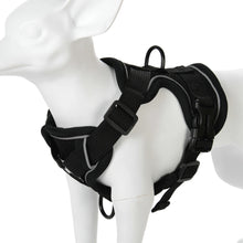 Load image into Gallery viewer, Harness and Leash Set Pet Accessories Dog Harness For Small Dog French Bulldog Pug Pitbull Puppy Pectoral Collar Chiens Supplies
