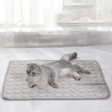 Load image into Gallery viewer, Pet Ice Mats Summer Cat Dog Sofa Nest Bed Cooling Sleeping Pad for Small Dogs Pets Durable Sofa Cooling Pad Blanket
