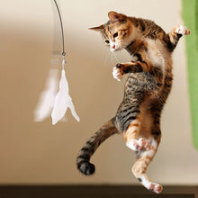 Load image into Gallery viewer, Cat Teaser Toy - Interactive Bell &amp; Feather Wand - Long Suction Cup Pole for Exciting Playtime Adventures - Ultimate Cat Toy
