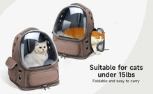 Load image into Gallery viewer, Transparent Pet Carrier Backpack Outdoor Travel Essential for Cats Small Dogs Breathable Design Comfortable Premium Pet Supplies
