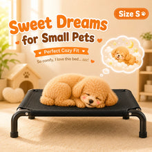 Load image into Gallery viewer, Elevated Pet Bed for Dogs, Washable Dog Bed for Small, Medium, Large &amp; XL Puppies, Breathable Mesh Dog Bed
