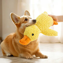 Load image into Gallery viewer, Cat Dog Toys for Aggressive Chewers Cats Dogs,Chew Squeak Toy Cats Dogs Interactive Plush Doll Pet Products
