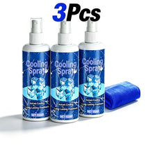 Load image into Gallery viewer, Summer Cooling Spray Body Refresh Mist Skin Friendly Non Sticky Formula For Outdoor Activities Travel And Exercise
