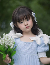 Load image into Gallery viewer, Embroidered Bow Princess Girls Dress
