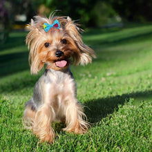 Load image into Gallery viewer, 10pcs Creativity Pet Hair Accessories Bow Polyester Cute Puppy Bow with Rubber Band Suitable for Dogs Cat Grooming Accessories
