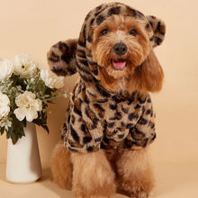 Load image into Gallery viewer, Plush Leopard Ear Dog Hoodie
