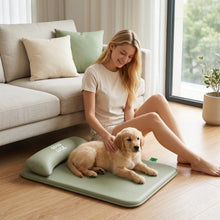 Load image into Gallery viewer, New Pet Bed with Pillow Removable and Washable Pet Mats All-Season Soft Cushion for Dogs and Cats Pet Supplies

