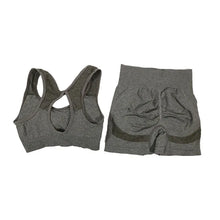 Load image into Gallery viewer, 2Pcs Women Yoga Outfit Set Sports Fitness Vest Running Workout Shorts Suit Gym Training Active Wear Handmade Accessory
