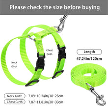 Load image into Gallery viewer, Adjustable Pet Cat Collar For Cats Cozy Nylon Rabbit Kitten Kedi Harness Leash Set Dog Cat Accessories Products For Pets
