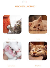 Load image into Gallery viewer, Cat Toy Carrot Sound Pet Products Bite Resistant Paper Rope Scratcher Clean Teeth Interactive Play Cat Carrot Chew Toy for Cat
