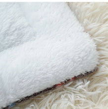 Load image into Gallery viewer, Flannel Pet Sleeping Mat Dog Bed Cat Litter Puppy Bed Dog Sofa Lovely Mattress Cushion for Small Large Dog Blanket For Winter
