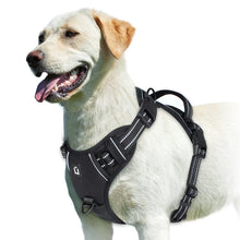 Load image into Gallery viewer, Easy Control Handle No-Pull Vest
