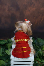 Load image into Gallery viewer, Handmade Unique Design Dog Clothes European Court Style Pet Costume Suit Lace Cuffs Collar Twin Sets Apparel Cat Poodle Maltese
