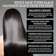 Load image into Gallery viewer, Black Ganoderma Hair Repair Serum
