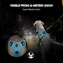 Load image into Gallery viewer, Easy Control Handle No-Pull Vest
