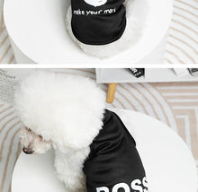 Load image into Gallery viewer, Pet Dog Clothes For Small Medium Dogs Cats Spring Summer Cool Interesting Outward Clothing Shirt For Puppy Chihuahua Yorkie Vest
