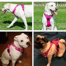 Load image into Gallery viewer, Reflective Adjustable Breathable Vest Chest Strap for Small Medium Large Dogs Pet Dog Harness Cat Puppy Collar Dog Accessoires
