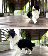 Load image into Gallery viewer, Dogs  Interactive Toys Soft TPR Toys for Dog Pet Teeth Cleaning Bite Resistance Squeaky Dog Ball Toy
