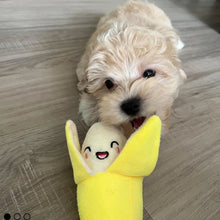 Load image into Gallery viewer, A 7-piece set of puppy sound toys, loose plush pet chewing, plush fruit snacks and vegetable puppy toys, suitable for cute playm
