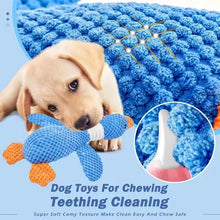 Load image into Gallery viewer, Indestructible Pet Toys for Aggressive Chewers Cats Dogs,Chew Squeak Toy Cats Dogs Interactive Plush Doll Pet Products
