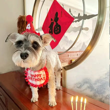 Load image into Gallery viewer, Pet Hat &amp; Bib Set for Cats Birthday , Kitty Party Dress-up Costume Accessories, Adjustable Bandana Photo Props for Celebration

