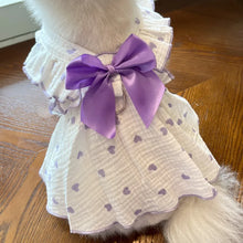 Load image into Gallery viewer, Sweet Cotton Pet Skirt Dress
