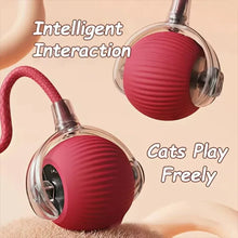 Load image into Gallery viewer, Durable Pet Toys for Dogs And Cats - Teaser Ball with Rope Jumping Ball Thud Toy for Self-Entertainment Pet Supplies
