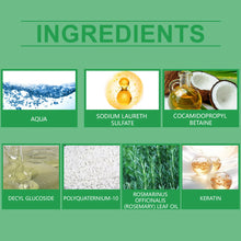 Load image into Gallery viewer, Rosemary Volumizing Repair Hair Shampoo
