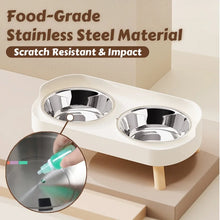 Load image into Gallery viewer, HOMEFISH Dopamine Multicoloured Tall Pet Feeder with Two Stainless Steel Bowls and Neck Support

