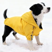 Load image into Gallery viewer, Reflective Waterproof Winter Pet Sweatshirt
