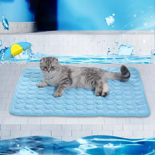 Load image into Gallery viewer, Pet Ice Mats Summer Cat Dog Sofa Nest Bed Cooling Sleeping Pad for Small Dogs Pets Durable Sofa Cooling Pad Blanket
