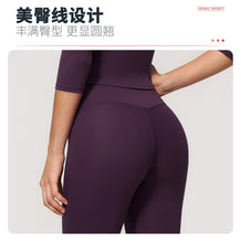 Load image into Gallery viewer, Fitness Leggings High Rise Hip Lift Brushed Soft Material For Ladies Outdoor Elastic Slim Fit Outer Wear Sports Tight Pants
