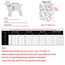 Load image into Gallery viewer, Funny Cosplay Pet Party Vest
