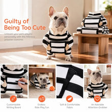 Load image into Gallery viewer, Pet Outfit Adjustable Pet Funny Costume Breathable Comfortable Halloween Dog Clothes Polyester Dog Party Dressed Up Festival
