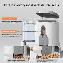 Load image into Gallery viewer, Cat Bowl Automatic Feeder with Spill Proof Design with Water Fountain Pet Food Dispenser for Small Medium Large Cats Dogs
