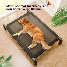 Load image into Gallery viewer, Elevated Dog Bed All Season Outdoor Indoor Waterproof Chew Proof Raised Pet Cot Large Small Dogs Dog Beds Pet Accessories

