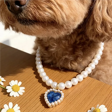 Load image into Gallery viewer, Adjustable Pet Pearl Necklace Accessories for Cats Gotas Animals Fashion Rhinestones Sphynx Cat Collar Kitten Dog collier chat
