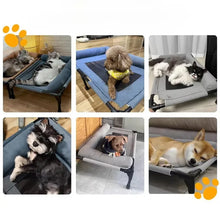 Load image into Gallery viewer, Pet Furniture Mesh Elevated Dog Beds Breathable Removable Raised Dog Bed With Soft Pillow Outdoor Dog Cat Bed Patio Sunbathing
