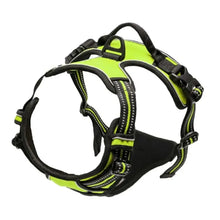 Load image into Gallery viewer, Complete Dog Collar Harness Set
