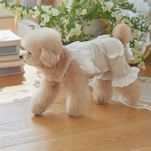 Load image into Gallery viewer, Cute Lace Pet Overalls Jumpsuit
