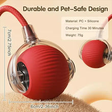 Load image into Gallery viewer, Durable Pet Toys for Dogs And Cats - Teaser Ball with Rope Jumping Ball Thud Toy for Self-Entertainment Pet Supplies
