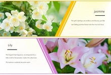 Load image into Gallery viewer, 17 Flavors 10ml Essential Oils For Aroma Diffuser AirHumidifier Home Water-soluble Lavender Rose Eucalyptus  White Peach Oolong
