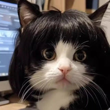 Load image into Gallery viewer, Cat Wig Accessories Dog Headdress Funny Costume Puppy Cosplay Dress Up Cute Pet Wig Cosplay Funny Props Head Accessories
