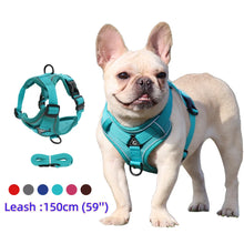 Load image into Gallery viewer, Harness and Leash Set Pet Accessories Dog Harness For Small Dog French Bulldog Pug Pitbull Puppy Pectoral Collar Chiens Supplies
