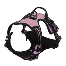 Load image into Gallery viewer, Complete Dog Collar Harness Set
