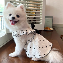 Load image into Gallery viewer, Sweet Cotton Pet Skirt Dress
