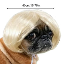 Load image into Gallery viewer, Pet Wig Accessories Dog Headdress Funny Costume Puppy Cosplay Dress Up Cute Pet Wig Cosplay Funny Props Head Accessories
